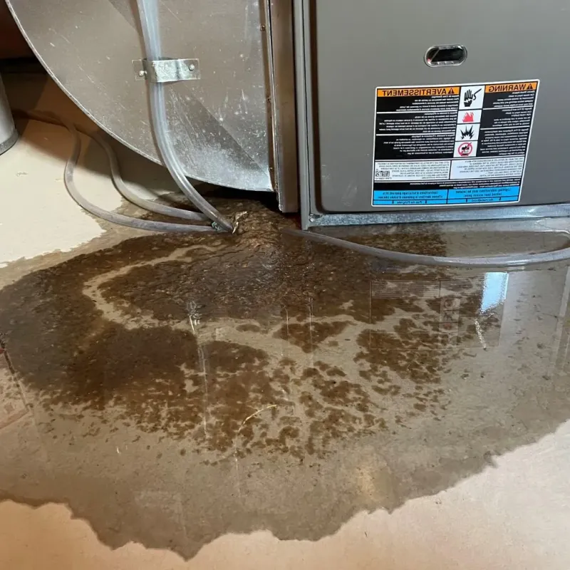 Pipe Burst and Leak Restoration in Hill, NH