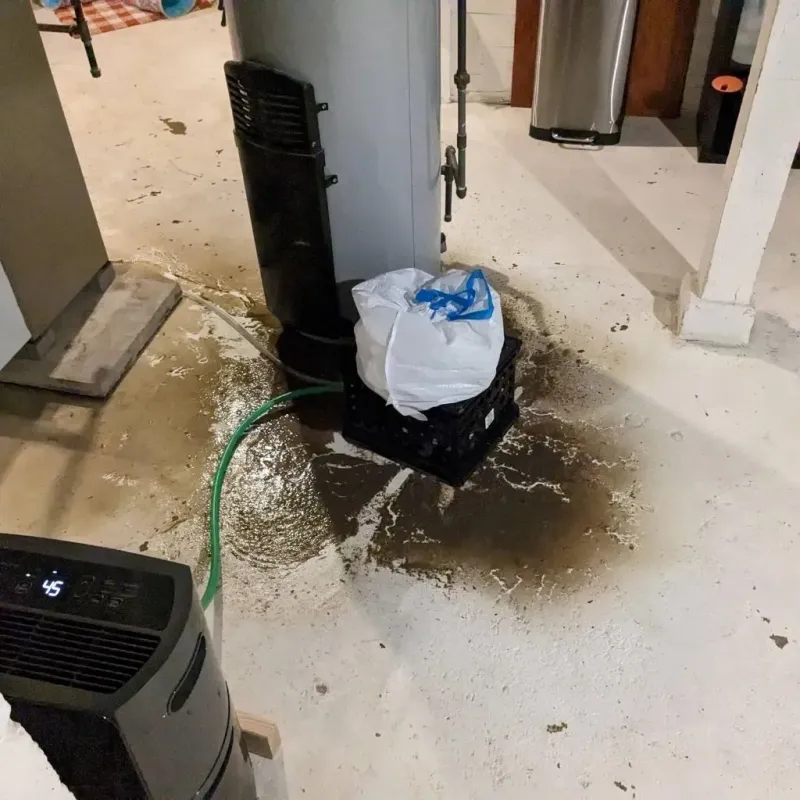 Sewage Backup Cleanup Service in Hill, NH
